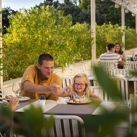 Magal Maradiso By Aminess Nijvice